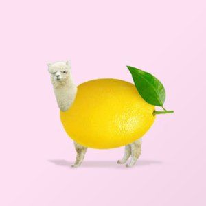 Meet your Posher, Laurie